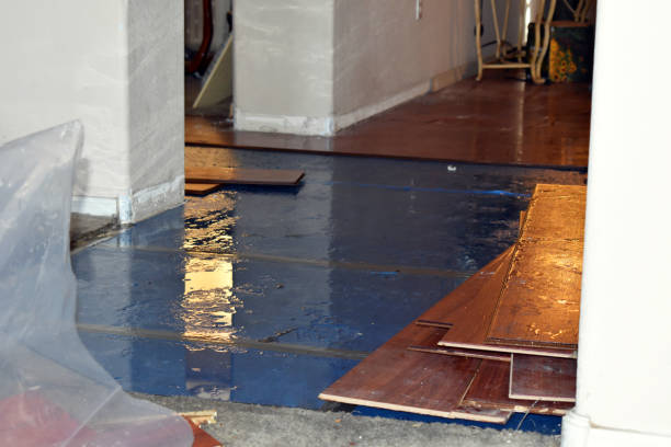 Professional Basement Flood Cleanup technician working in North Bend, OH